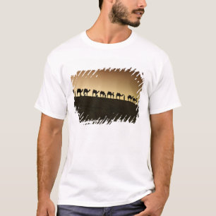 A group of camel herders with their camels T-Shirt