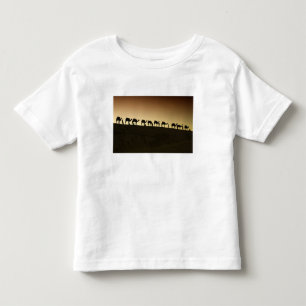 A group of camel herders with their camels toddler T-Shirt