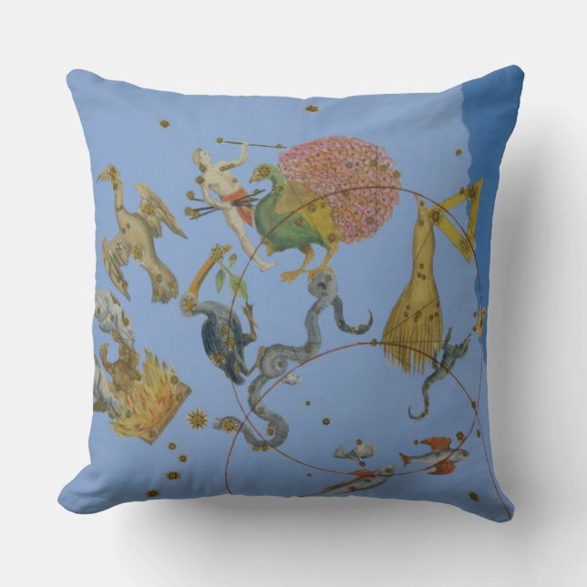 A group of constellations from 'Uranometria' by Jo Cushion (Front)