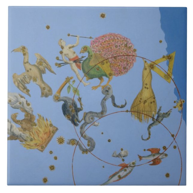 A group of constellations from 'Uranometria' by Jo Tile (Front)