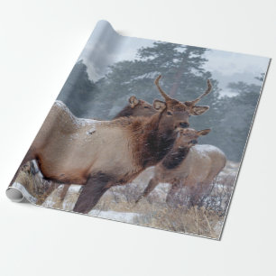 A GROUP OF DEERS WRAPPING PAPER