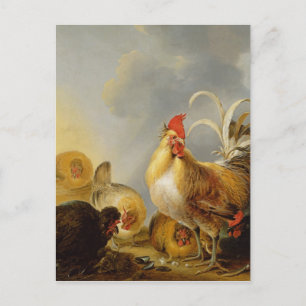 A Group of Farmyard Fowl, 1643 Postcard