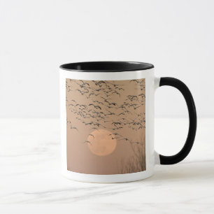 A group of migratory snow geese, Grus Mug