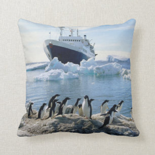A Group Of Penguins Standing On An Icy Beach Cushion