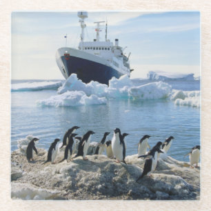 A Group Of Penguins Standing On An Icy Beach Glass Coaster