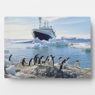 A Group Of Penguins Standing On An Icy Beach Plaque