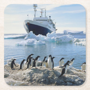 A Group Of Penguins Standing On An Icy Beach Square Paper Coaster