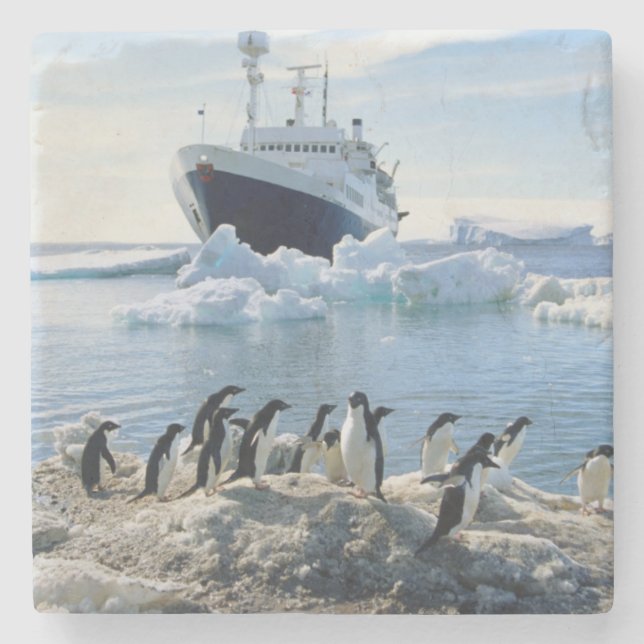 A Group Of Penguins Standing On An Icy Beach Stone Coaster (Front)