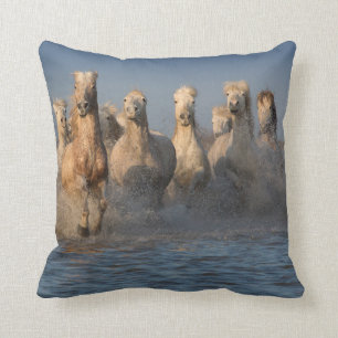 A Group Of White Horses In The Camargue Region Cushion