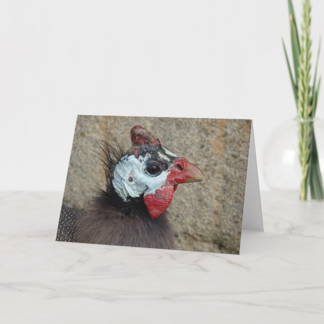 A Guinea Card (Front)