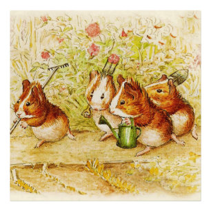 A Guinea Pig Garden of Our Own by Beatrix Potter Photo Print