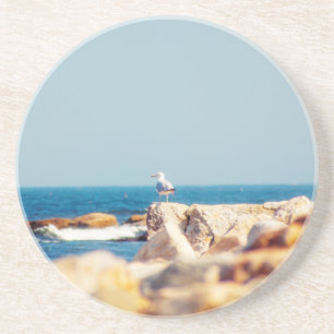 A Gull's Post Coaster