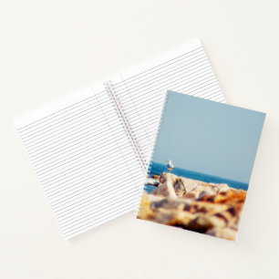 A Gull's Post Notebook