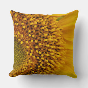 a half-circle cushion