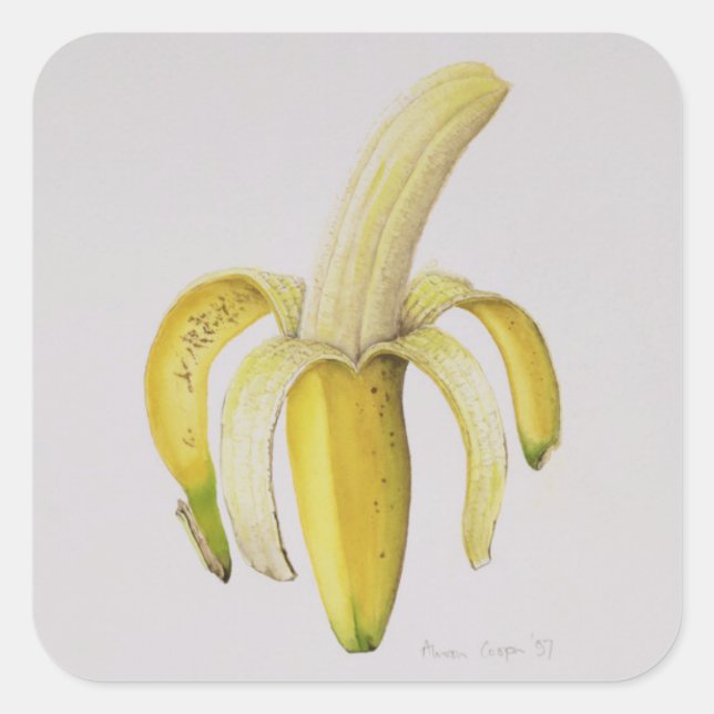 A Half-peeled Banana 1997 Square Sticker (Front)