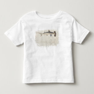 A Hammer-headed Shark, Loheia, formerly attributed Toddler T-Shirt