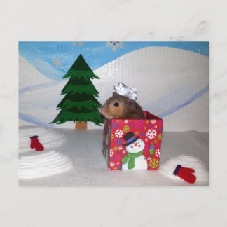 A Hamstery Present! Postcard