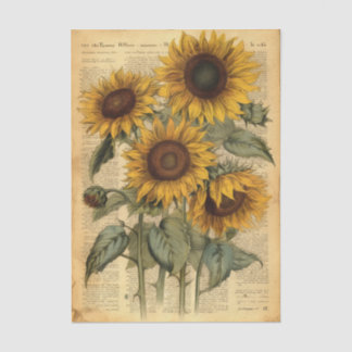 A Happy Bouquet of Sunflowers on Vintage Newspaper Tissue Paper