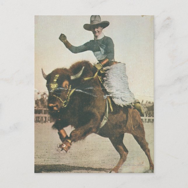 A Happy Cowboy on a Bucking Buffalo. Postcard (Front)
