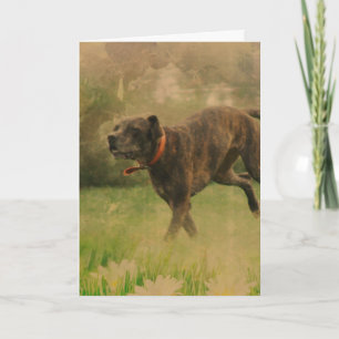 A Happy Dog all occasions Card