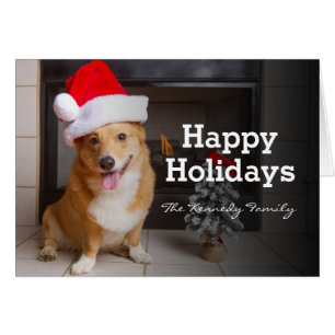A happy, festive Pembroke Welsh Corgi