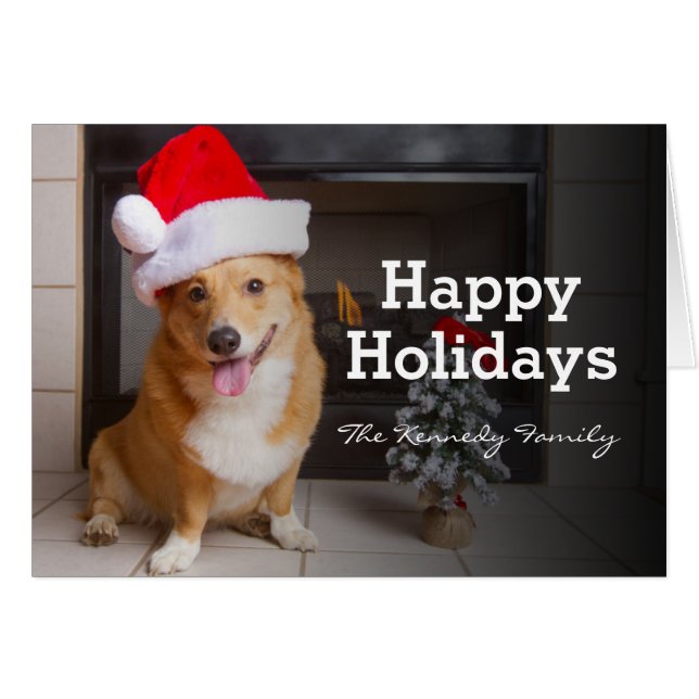 A happy, festive Pembroke Welsh Corgi (Front Horizontal)