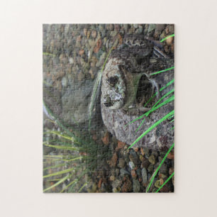 A Happy Frog Jigsaw Puzzle