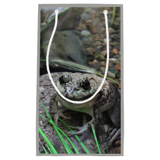 A Happy Frog Small Gift Bag (Front)