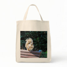 A Happy Squirrel in DC