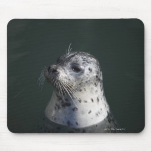 A harbour seal mouse pad