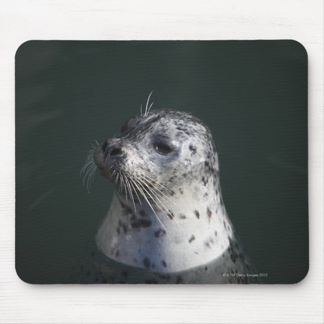 A harbour seal mouse pad (Front)