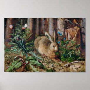 A Hare in the Forest Poster