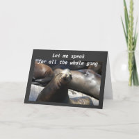 A HAREM OF SEALS FOR YOUR 40th