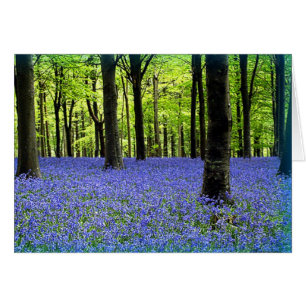 A Haze Of Blue