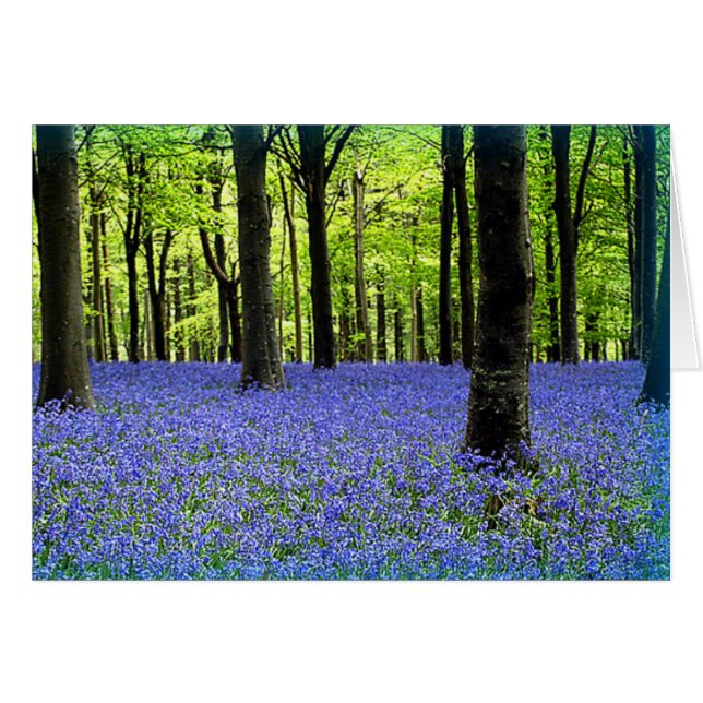 A Haze Of Blue (Front Horizontal)