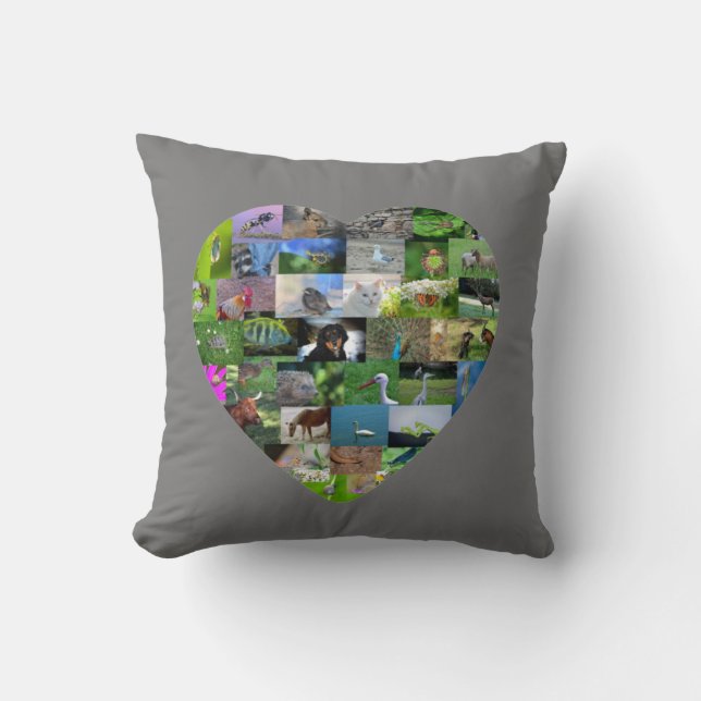 A heart for animals  -  in grey cushion (Front)