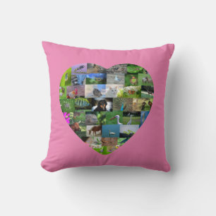A heart for animals  -  in pink cushion