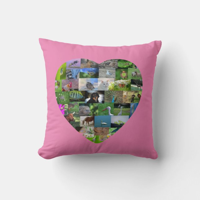 A heart for animals  -  in pink cushion (Front)