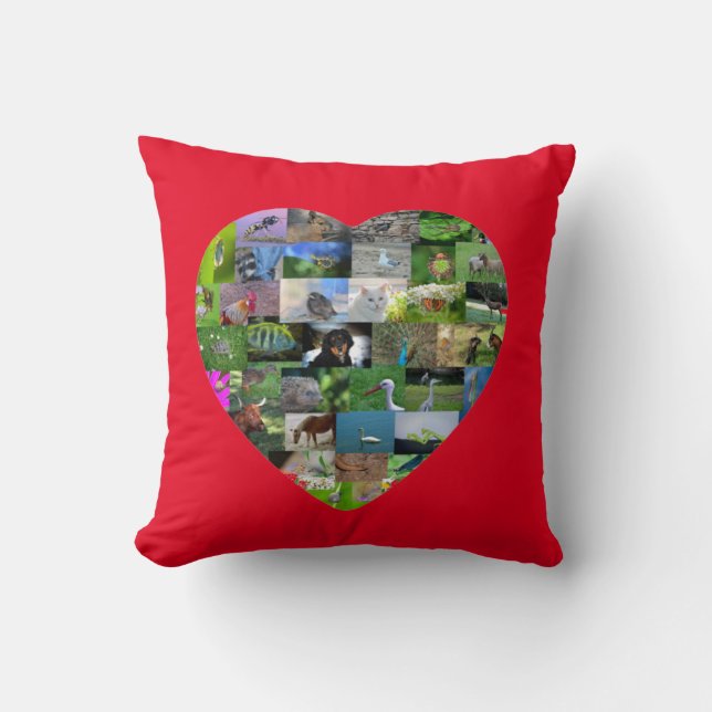 A heart for animals  -  in red cushion (Front)