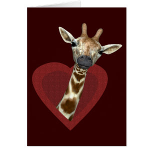 A Heart For Giraffes