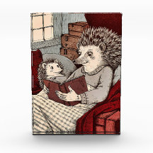 A Hedgehog in a cover reading a book at