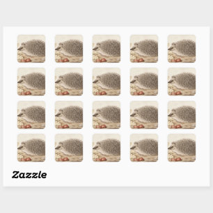 A Hedgehog in a Landscape by Giovanna Garzoni Square Sticker