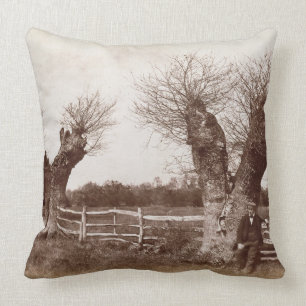 A Hedgerow Tree, 1852 (albumen print) Cushion