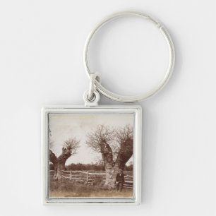 A Hedgerow Tree, 1852 (albumen print) Key Ring