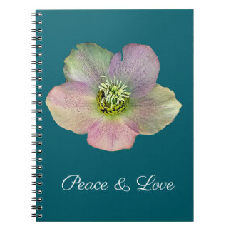 A Hellebore,  a Lenten Rose Notebook