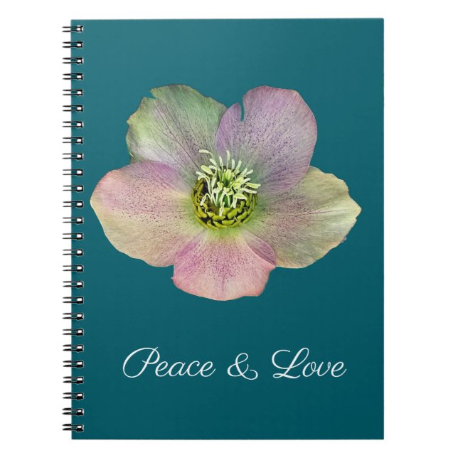 A Hellebore,  a Lenten Rose Notebook (Front)