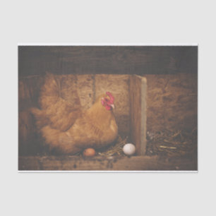 A Hen and Her Eggs Tissue Paper