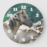A herd of Brumby Horses from Australia