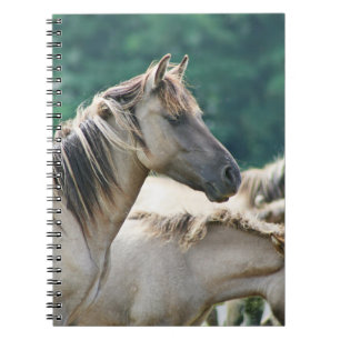 A herd of Brumby Horses from Australia Notebook