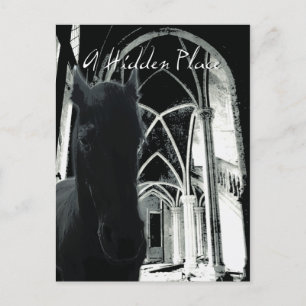 A Hidden Place - Postcard